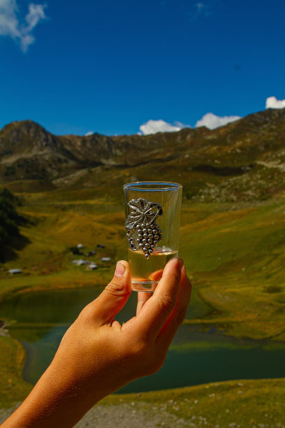 小男孩在山上端着一杯白葡萄酒图片下载
