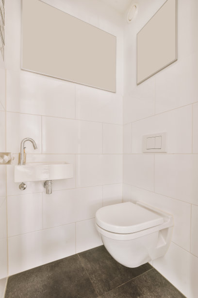 一个小浴室的内部，有一个黑白设计的马桶图片下载