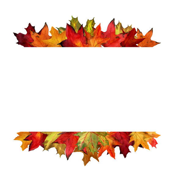 水彩画枫叶装饰边。装饰框架从秋季树叶孤立的白色背景。图片下载