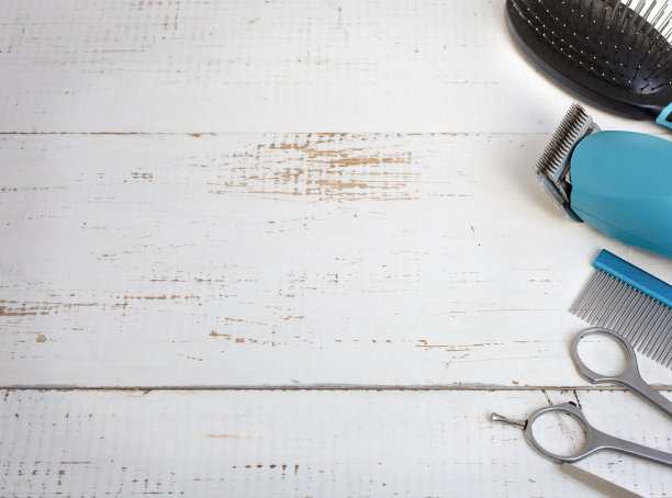 梳理工具在白色。图片下载