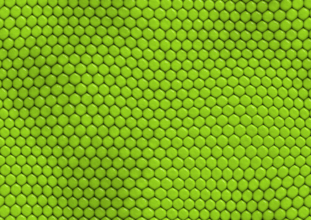 无缝花纹鳄鱼皮，动物皮。鳄鱼纹理图片下载