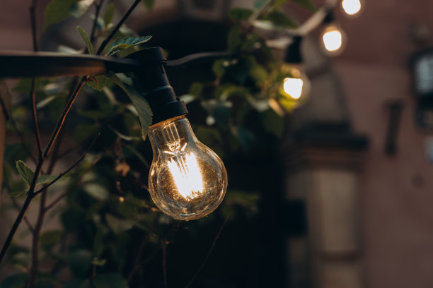 树叶间树枝上的灯泡花环，照亮了夜景。户外街道装饰电花环图片下载