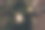 树叶间树枝上的灯泡花环，照亮了夜景。户外街道装饰电花环图片下载