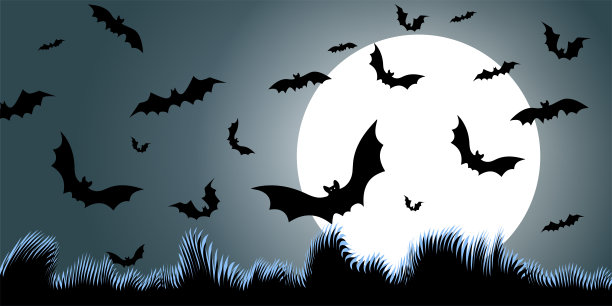 向量。夜晚，满月和蝙蝠，树枝，水平背景。彩色的恐怖体积万圣节插画。万圣节派对邀请卡片模拟。万圣节快乐横幅设计。图片下载