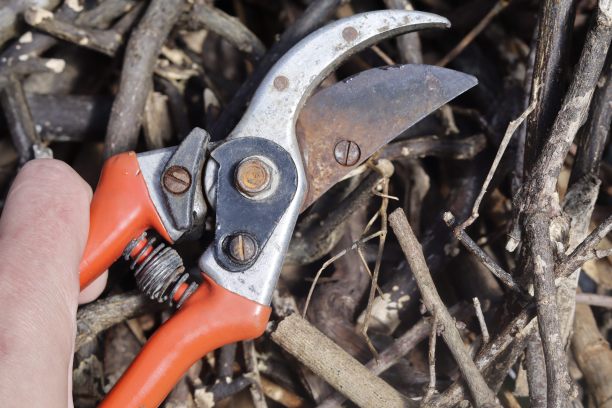 修枝剪图片下载