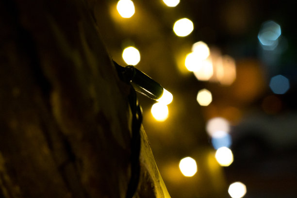 圣诞灯图片下载