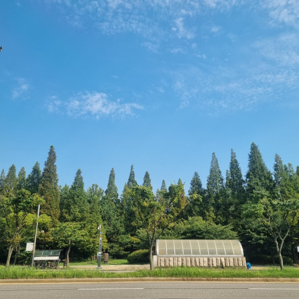晴朗的天空和道路图片下载