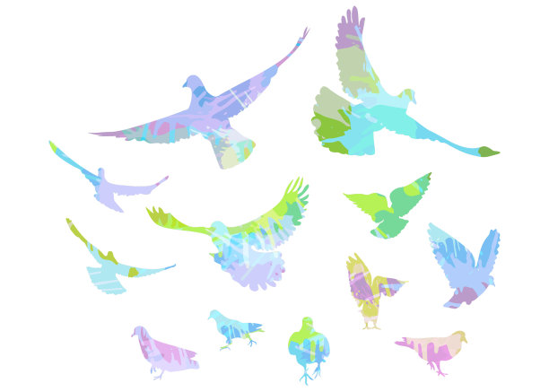 色彩斑斓的飞鸟图片下载