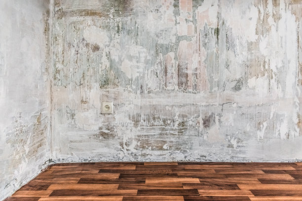 空荡荡的公寓，灰泥墙，没有墙纸图片下载