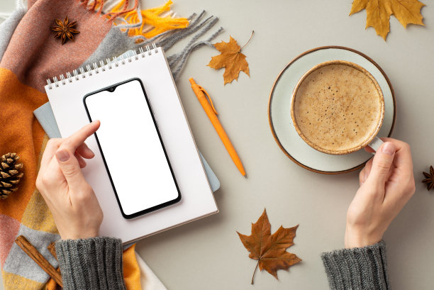 第一人称俯视图照片的女性手在毛衣拿着一杯咖啡和使用智能手机日记笔围巾枫叶八角松果肉桂棒孤立的灰色背景与空白图片下载