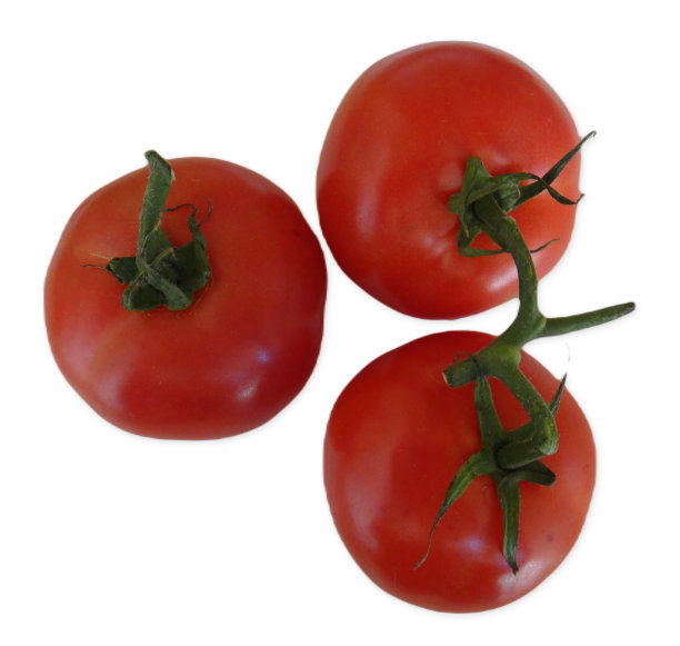 白色背景上的三颗成熟的番茄果实。图片下载