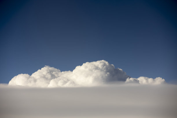 云从avobe图片下载