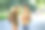 城市公园里的学生画像，十几岁的小学生一个男孩和一个女孩正站在小路上讨论功课，读书和聊天图片下载