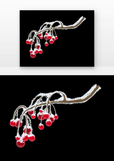 写实落雪的浆果图片下载