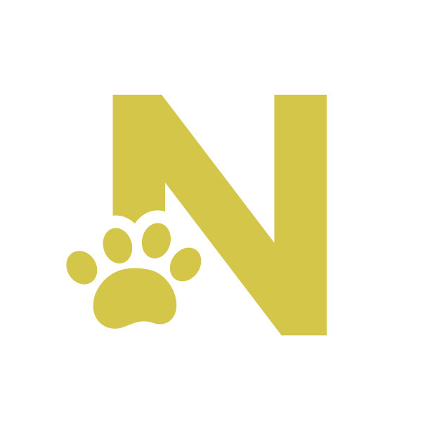 狗狗标志字母宠物护理标志设计模板。图片下载