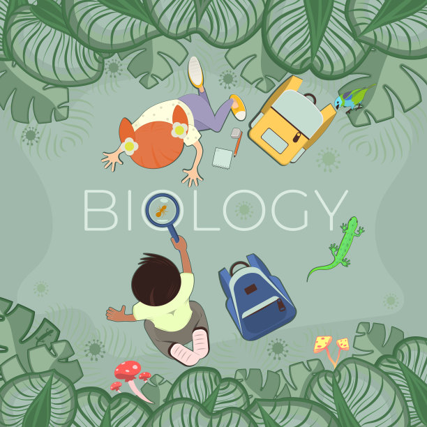以生物为主题的儿童教育插图。孩子们用放大镜看蚂蚁。从以上观点。热带植物，蜥蜴，背包，鸟，蘑菇。矢量插图。图片下载