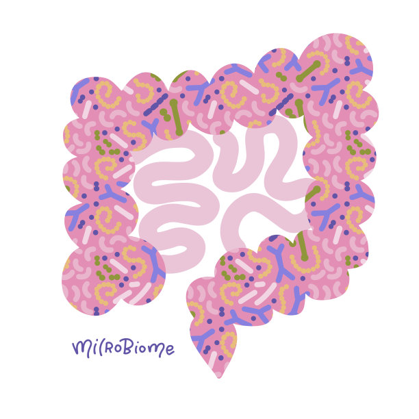 肠道与微生物群隔离的概念。人体肠道内有健康的益生菌群。微生物检查的平面手绘载体抽象医学插图。图片下载