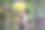 一名年轻女子在花园中心摆弄植物图片下载