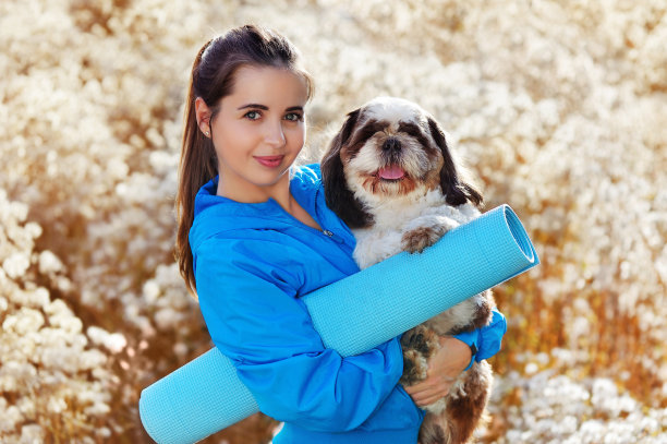 瑜伽女孩，瑜伽马特和西施狗图片下载