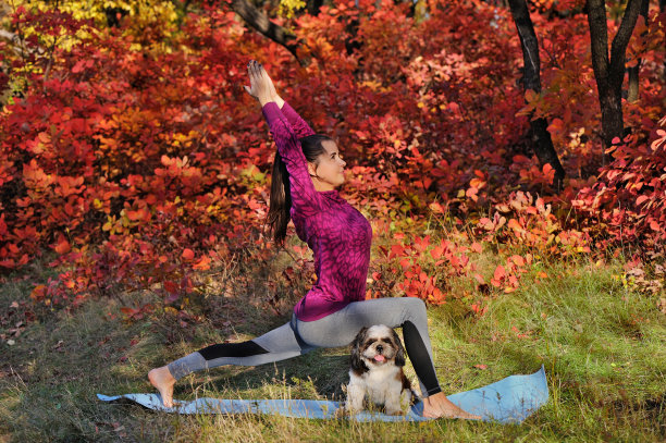 健身女子练习新月弓步瑜伽姿势图片下载