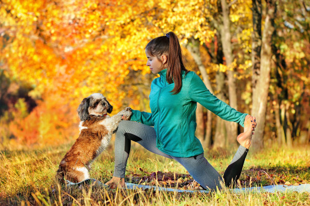 漂亮女人和她的小狗在公园里练瑜伽图片下载