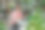 我喜欢在我最喜欢的咖啡馆工作图片下载