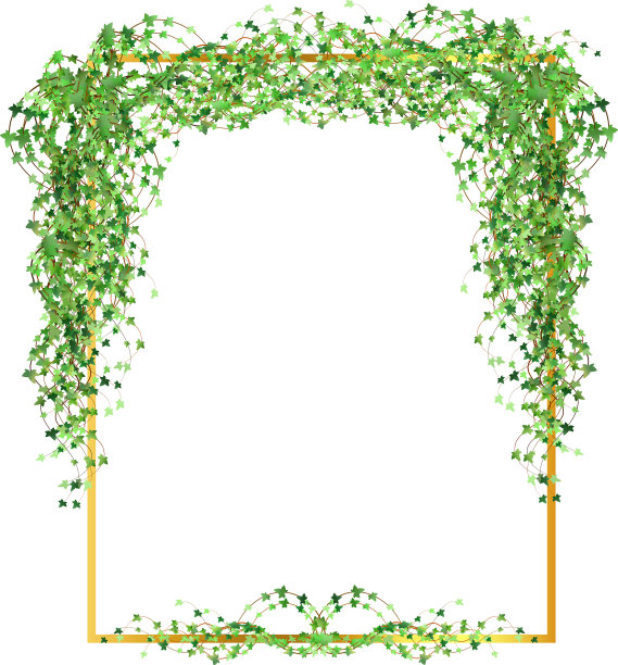 金色的框架，绿色的树枝，抽象的邀请图片下载