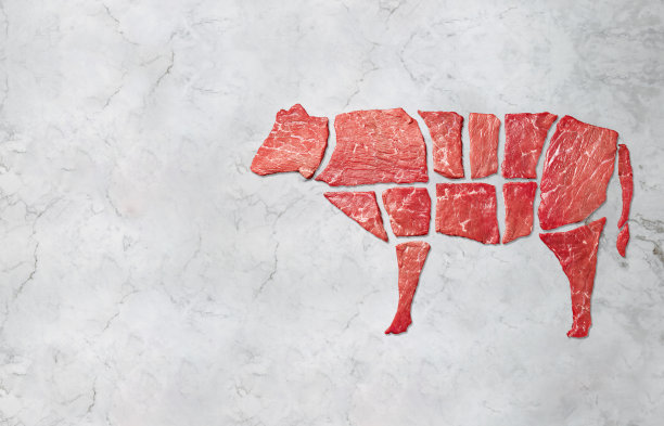 创意概念大理石肉牛肉在白色大理石背景。俯视图图片下载