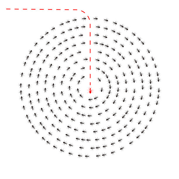 一只蚂蚁改变了方向图片下载