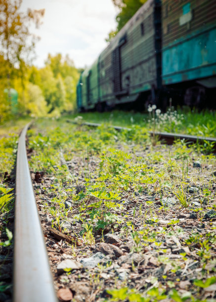 杂草丛生的铁轨特写，背景是陈旧的货车图片下载