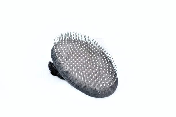 白色背景的毛皮宠物刷图片下载