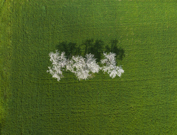 Erfelek瀑布无人机照片，绿色田野Gerze市黑海地区，土耳其图片下载