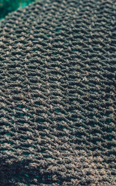 垂直抽象接近微距真实照片美丽的壁纸。渔夫绳网质地纤维表面花纹。海蓝绿淡色。未来主义微妙的波浪线艺术现代。暗的背景图片下载