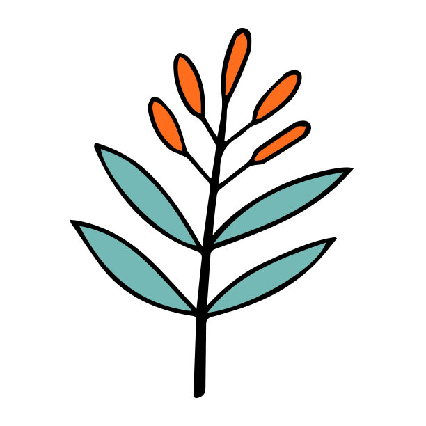 秋叶与浆果的水果涂鸦风格图片下载