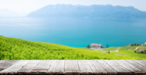 木桌背面有葡萄园图片下载