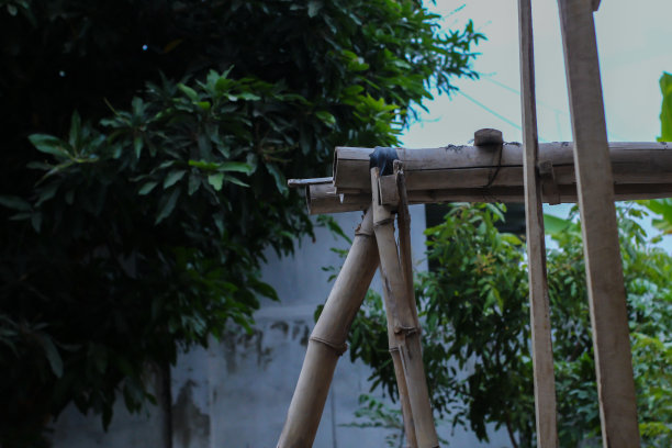 竹子由一些木头支撑图片下载