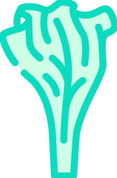 生菜是健康食品的颜色图标图片下载