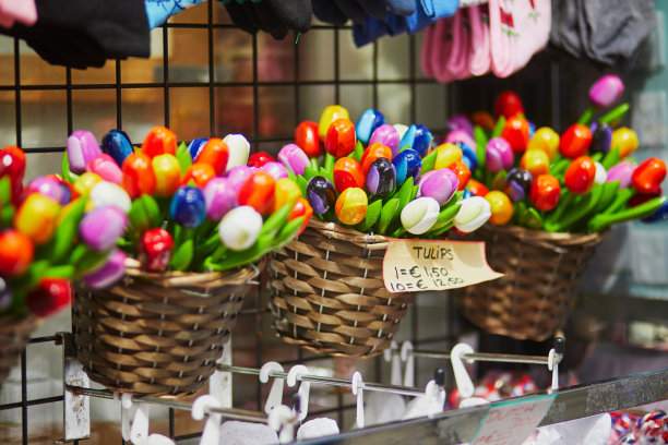 荷兰阿姆斯特丹传统荷兰市场上的彩色木制郁金香图片下载