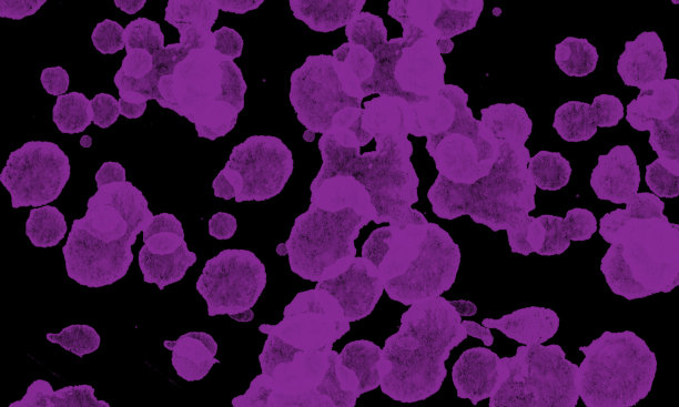 李子墨水溅。难看的东西洒出来了。抽象的背景。图片下载