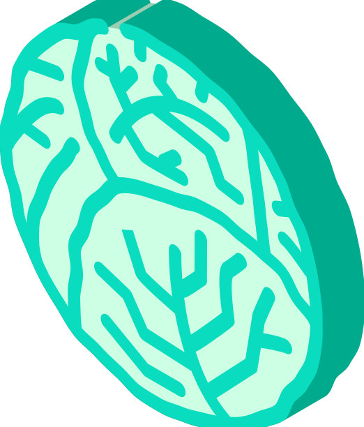 卷心菜是一个完整的等距图标图片下载