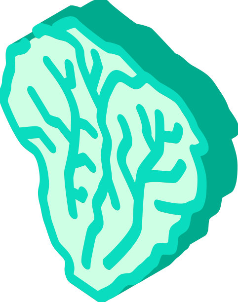 生菜绿色等距图标图片下载