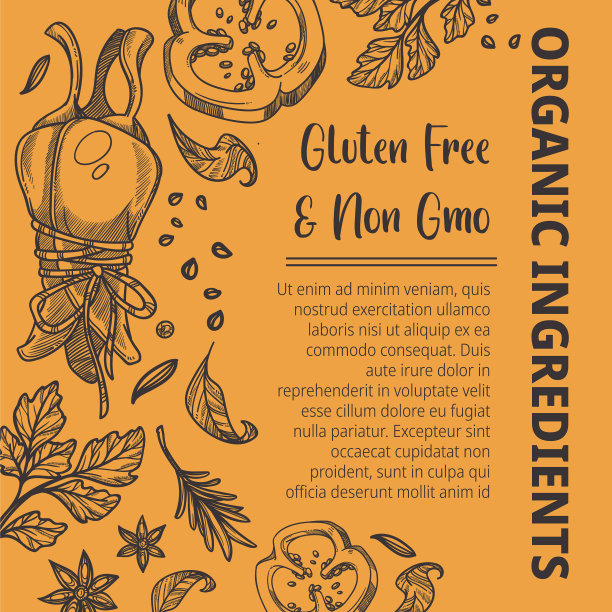 有机食材无麸质和非转基因香料图片下载