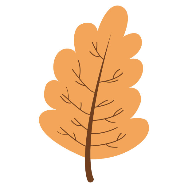 手绘的一片秋叶孤立图片下载