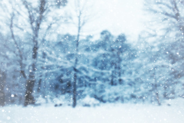 雪地里的冬季森林和飘落的雪花和模糊的树木为背景，纹理背景为圣诞贺卡图片下载