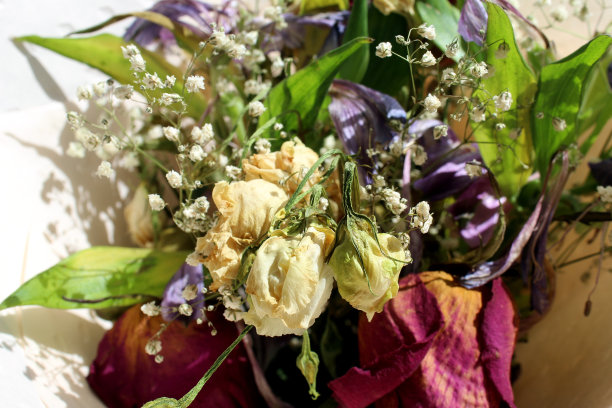 有一束干花。图片下载