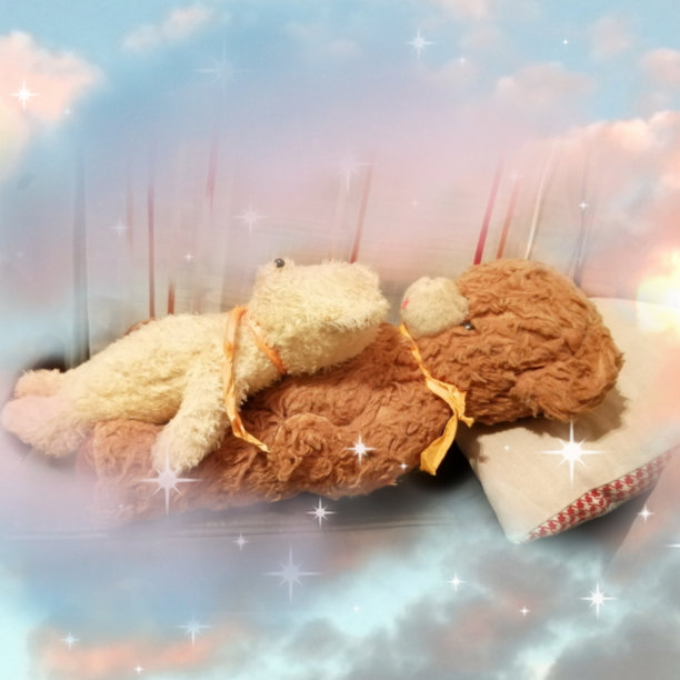 梦幻熊图片下载