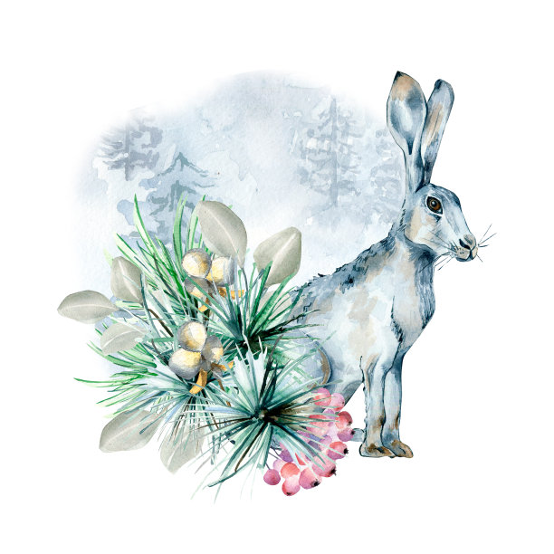 圣诞构图冬季森林和野兔水彩插图孤立在白色。图片下载