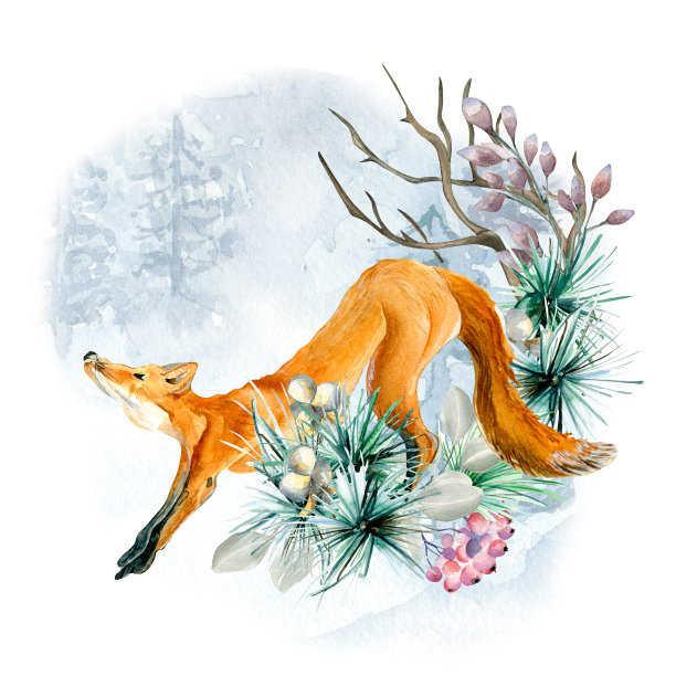 构图狐狸和冬季林地水彩画插图孤立在白色。图片下载