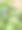 蕨类植物芽特写图片下载