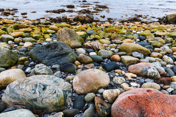 扫帚点的彩色鹅卵石。格罗斯莫恩国家公园，纽芬兰，加拿大图片下载